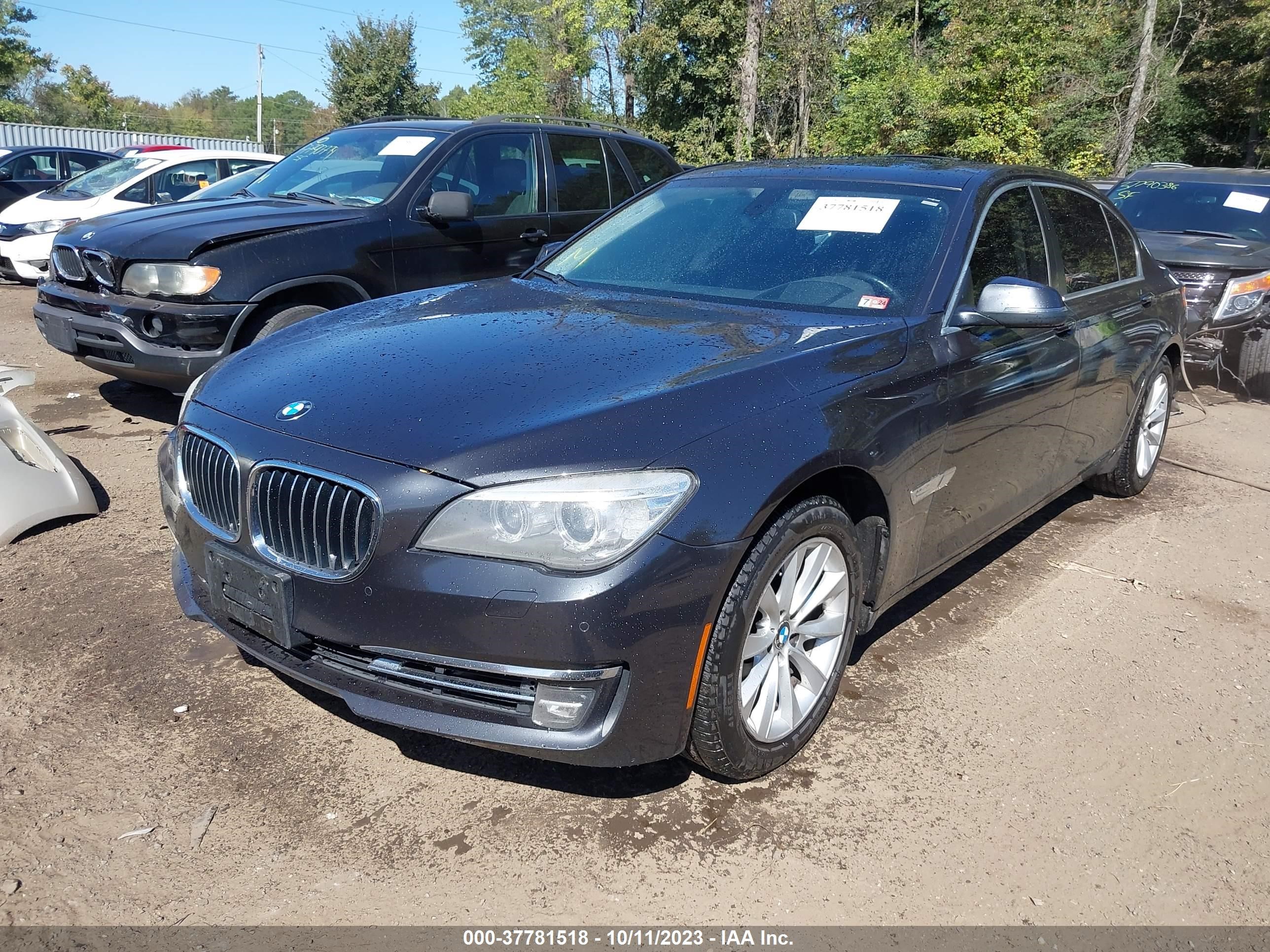 Photo 1 VIN: WBAYF4C51DDE23829 - BMW 7ER 