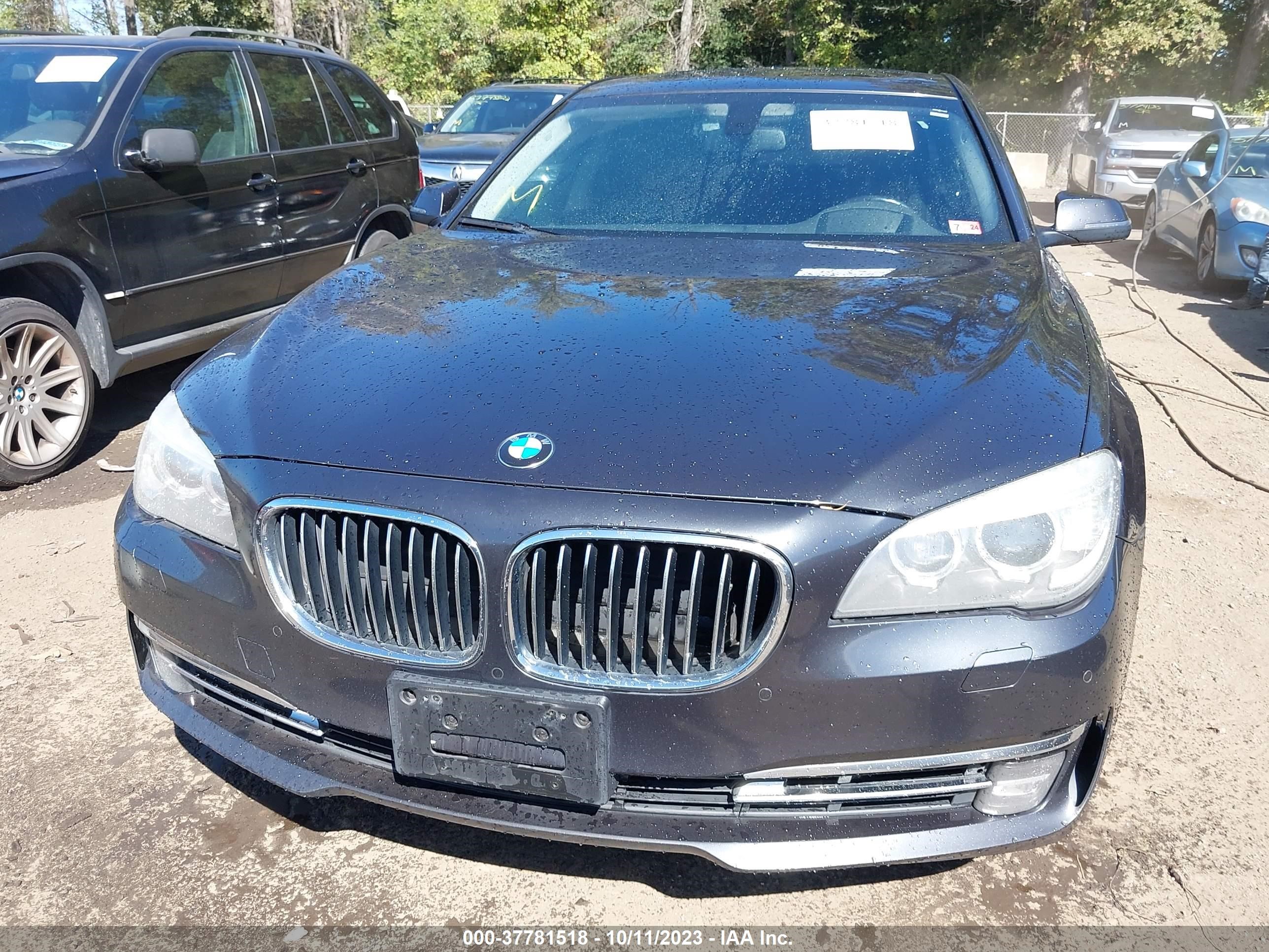 Photo 11 VIN: WBAYF4C51DDE23829 - BMW 7ER 