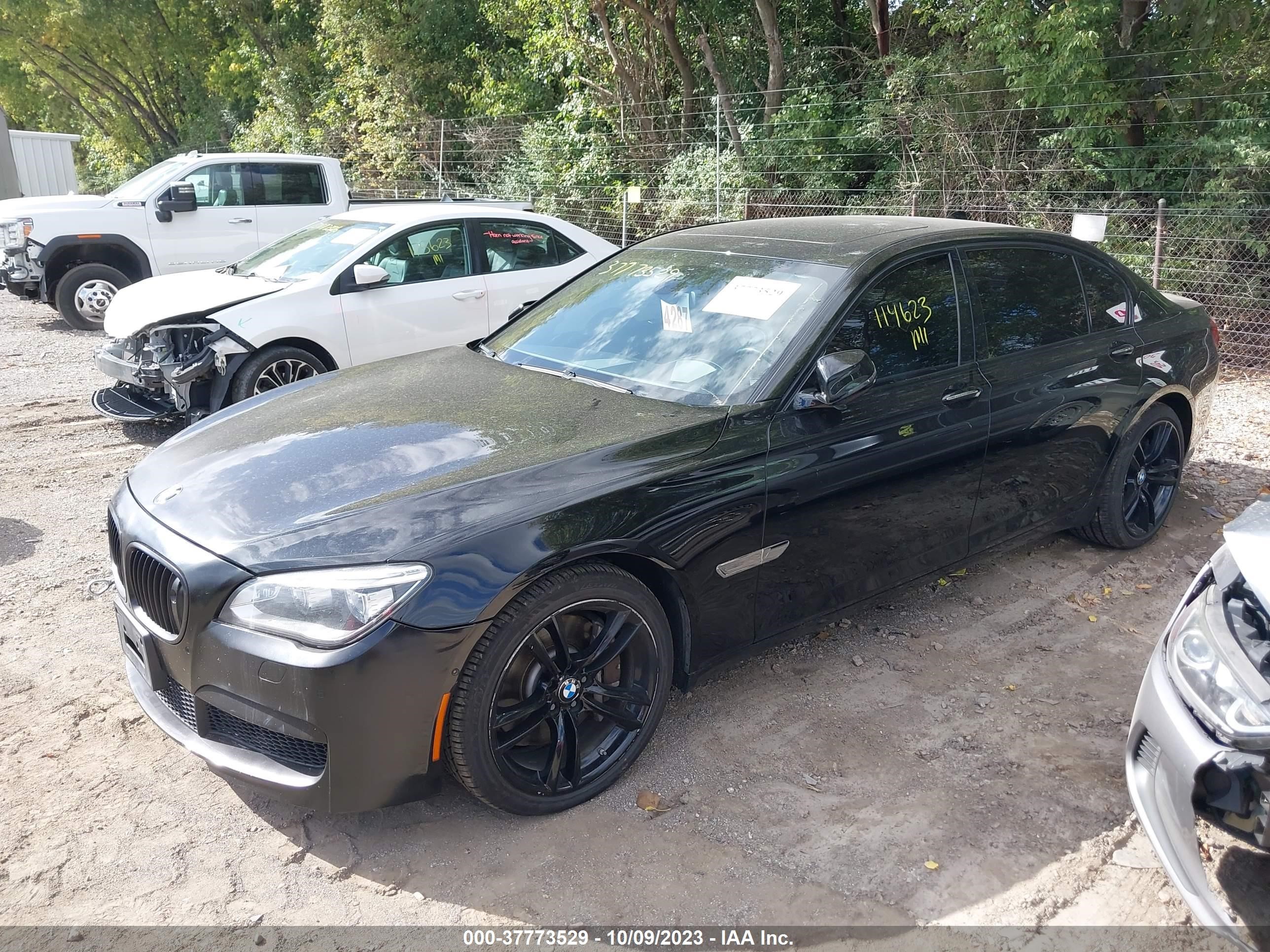 Photo 1 VIN: WBAYF8C51DD140223 - BMW 7ER 