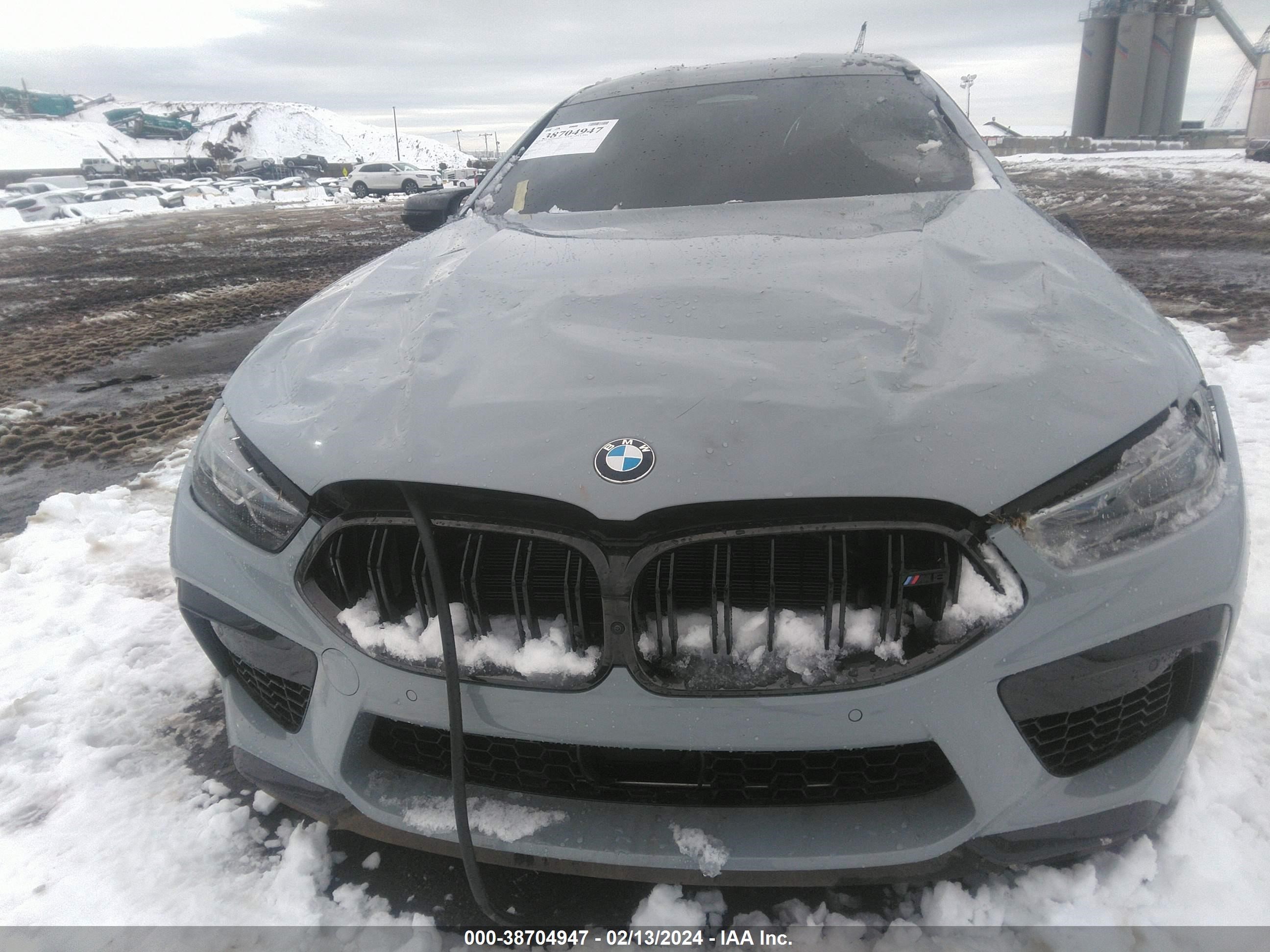 Photo 10 VIN: WBSGV0C05RCN79826 - BMW M8 