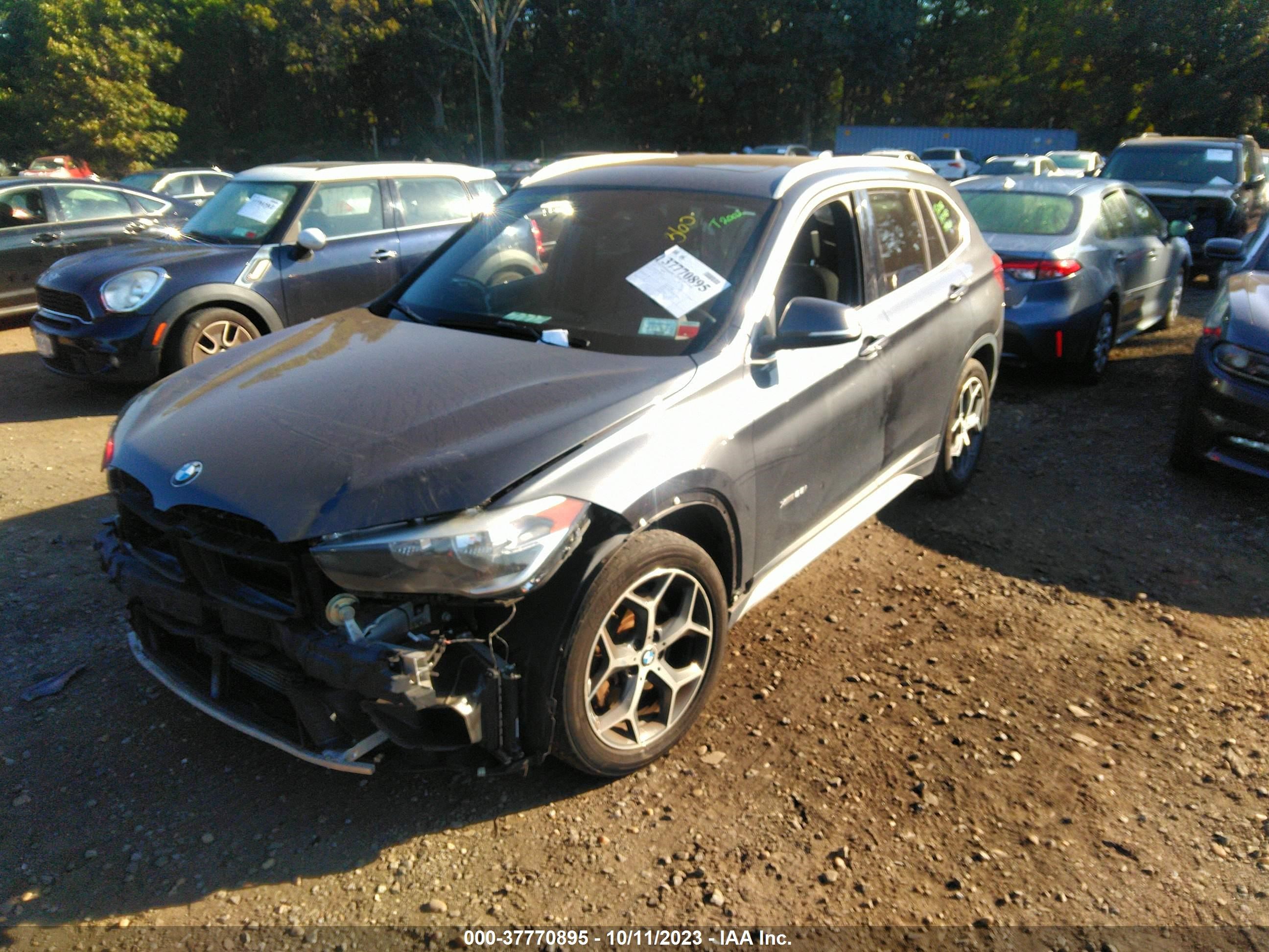 Photo 1 VIN: WBXHT3C31H5F80154 - BMW X1 