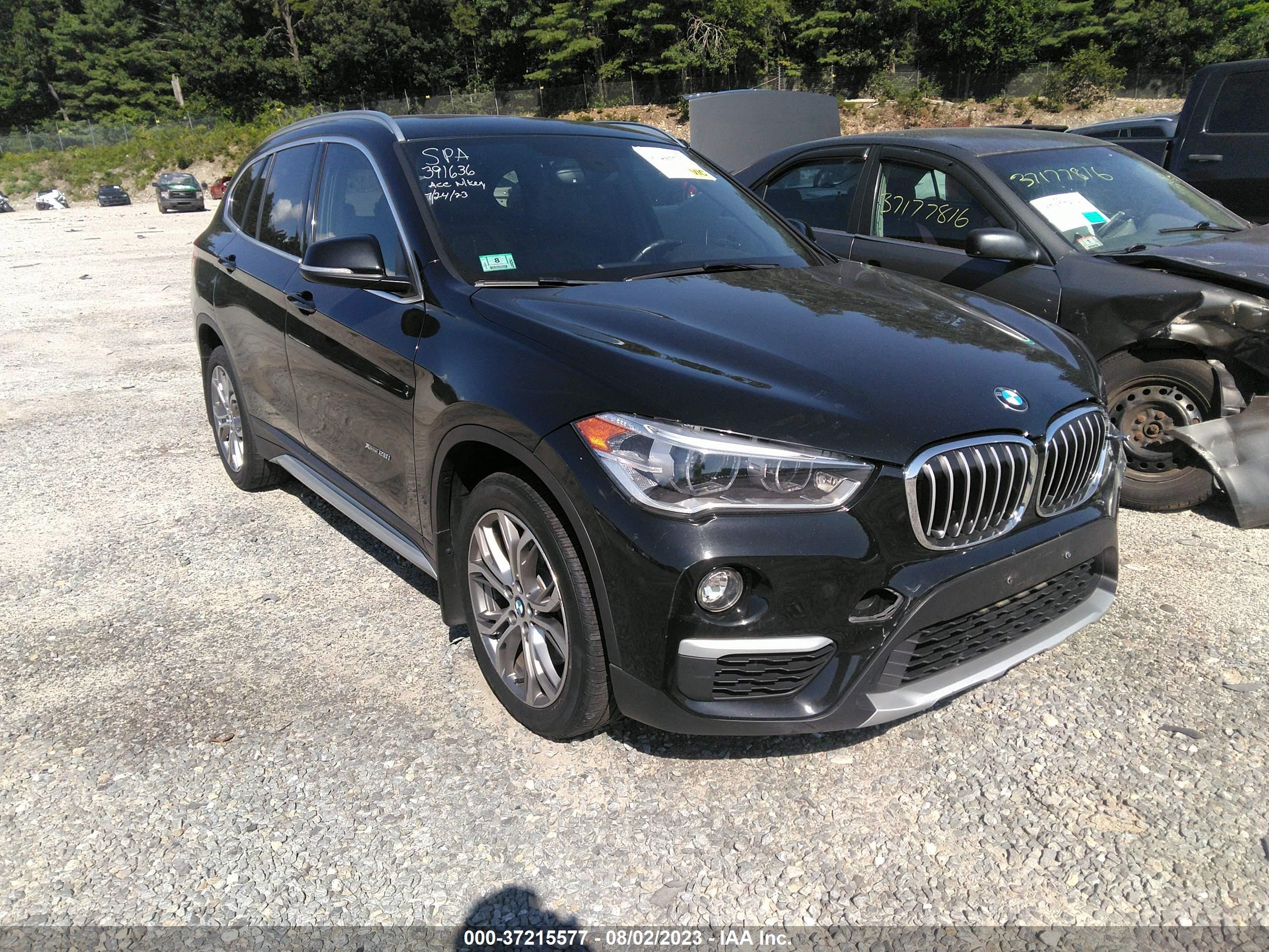 Photo 0 VIN: WBXHT3C32J5F92030 - BMW X1 