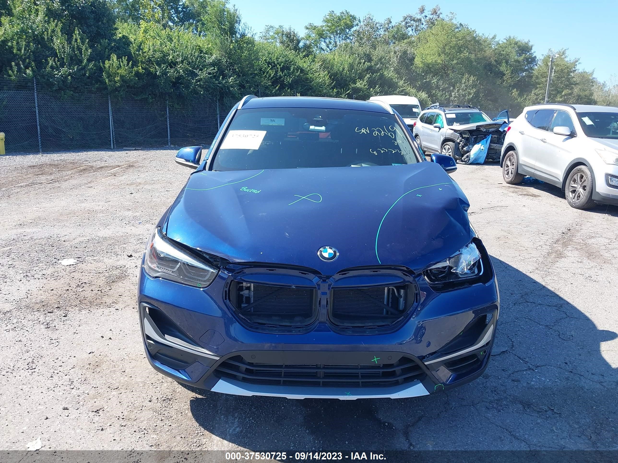 Photo 10 VIN: WBXJG9C07L5R67876 - BMW X1 