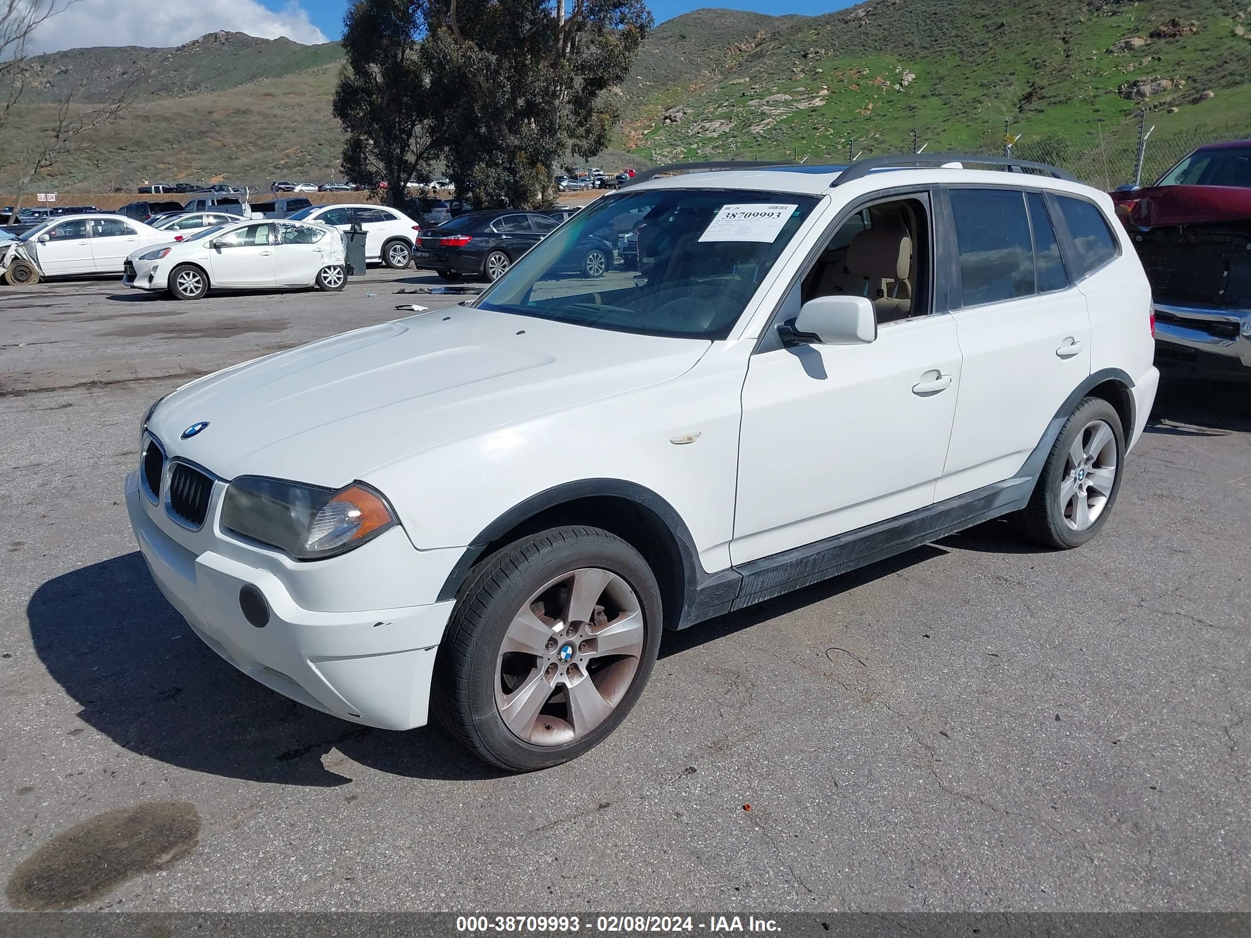 Photo 1 VIN: WBXPA93476WG87732 - BMW X3 