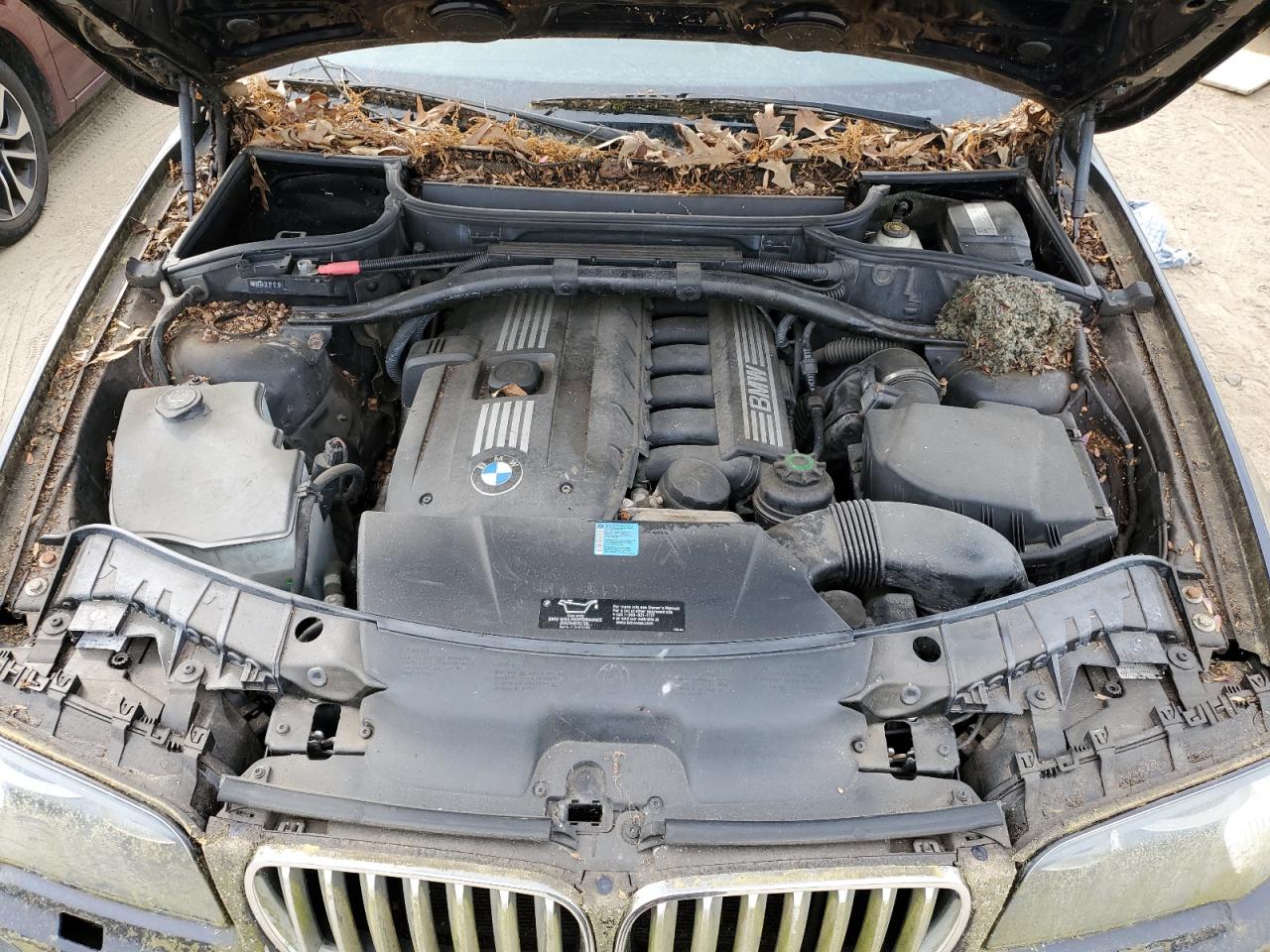 Photo 11 VIN: WBXPC9C42AWJ31991 - BMW X3 