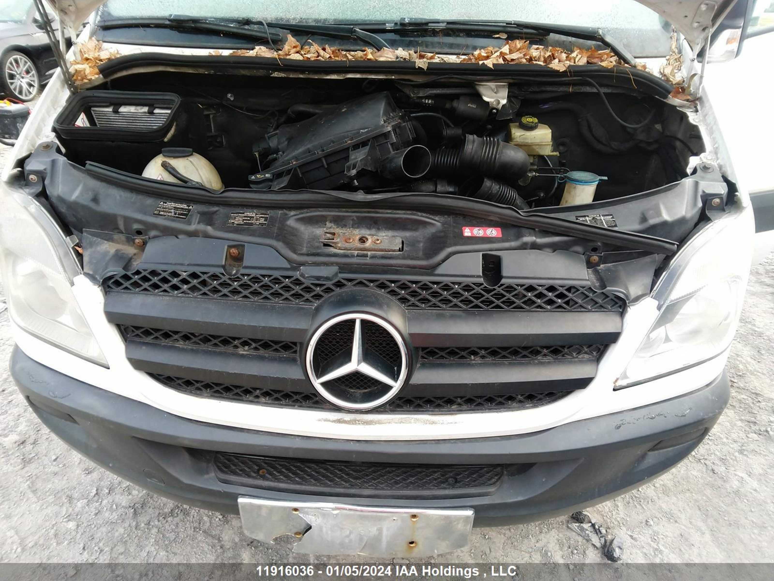 Photo 5 VIN: WD3BE8CC0B5554251 - MERCEDES-BENZ NULL 