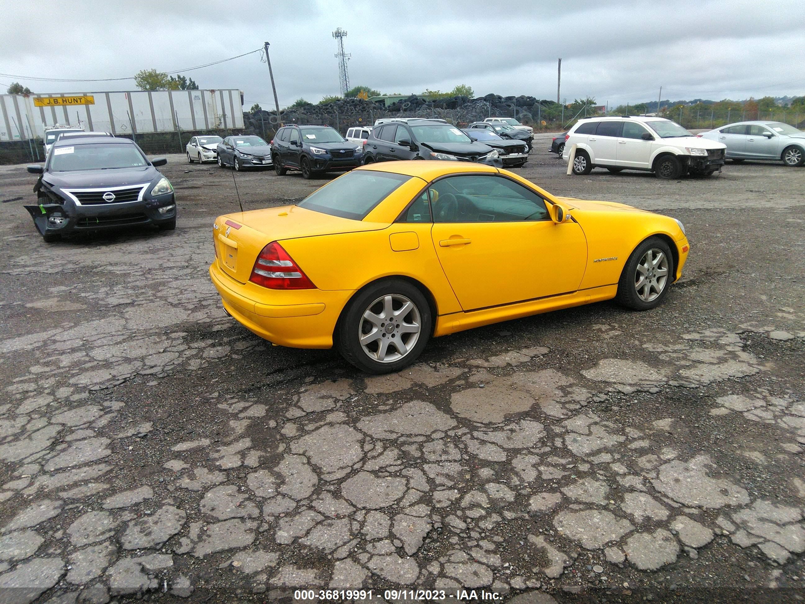 Photo 3 VIN: WDBKK49F03F282559 - MERCEDES-BENZ SLK-KLASSE 