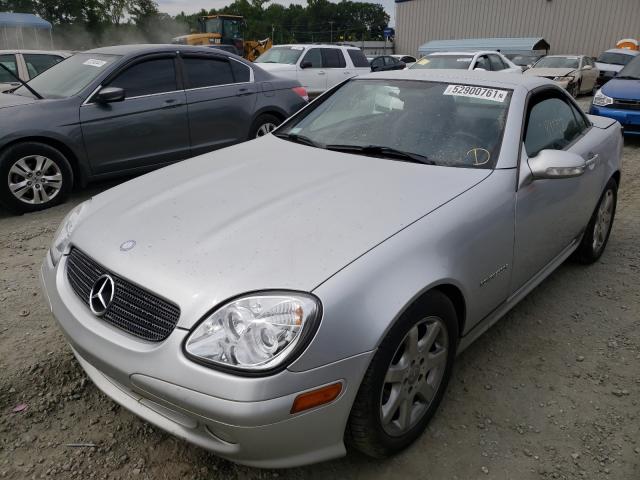 Photo 1 VIN: WDBKK49F32F252308 - MERCEDES-BENZ SLK-CLASS 