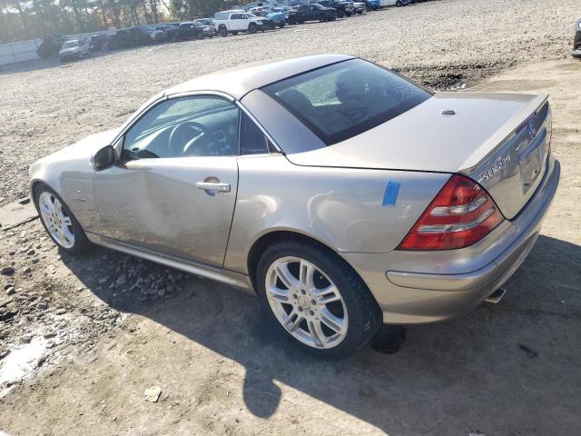 Photo 1 VIN: WDBKK49F34F293816 - MERCEDES-BENZ SLK-CLASS 