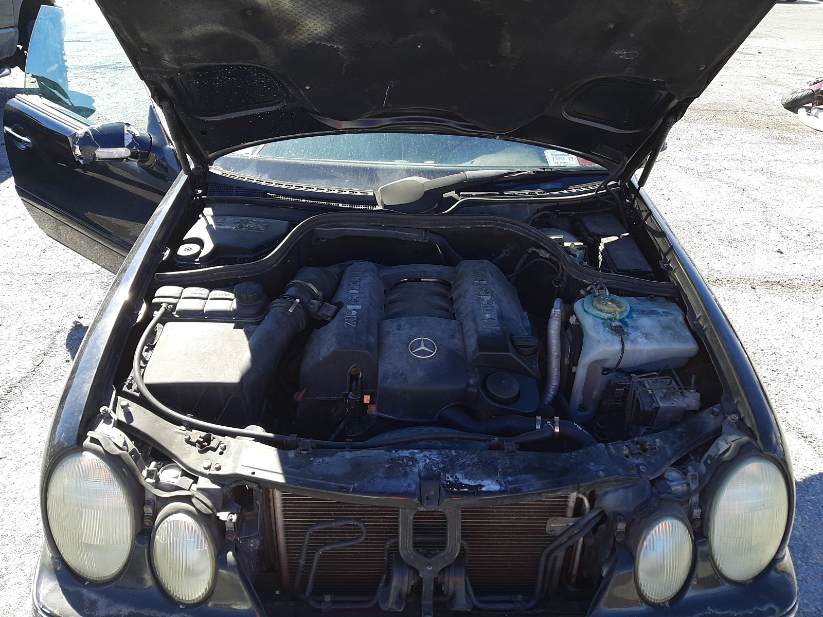 Photo 6 VIN: WDBLJ65GXYF149218 - MERCEDES-BENZ CLK 320 