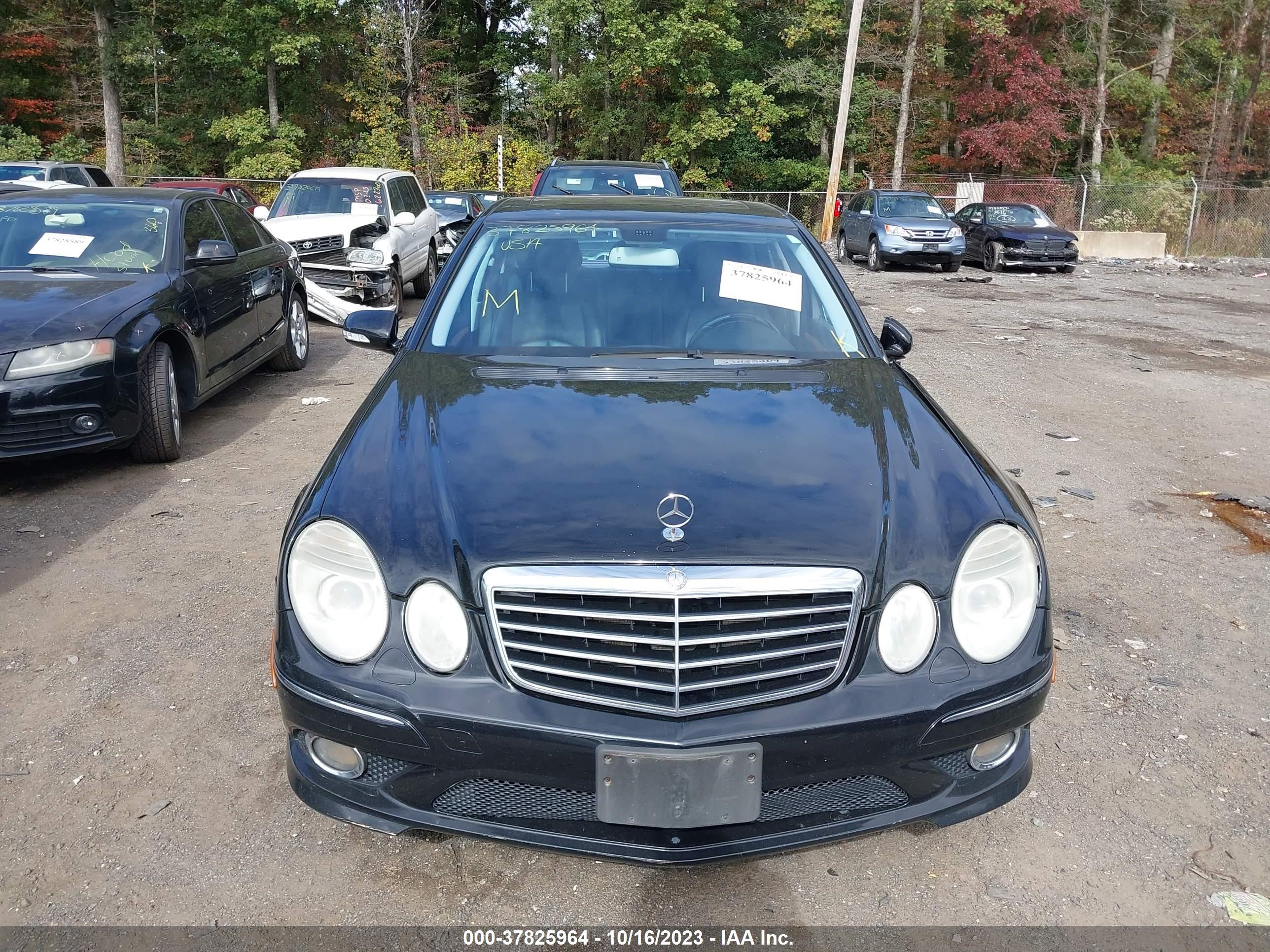 Photo 11 VIN: WDBUF56X59B377795 - MERCEDES-BENZ E-KLASSE 