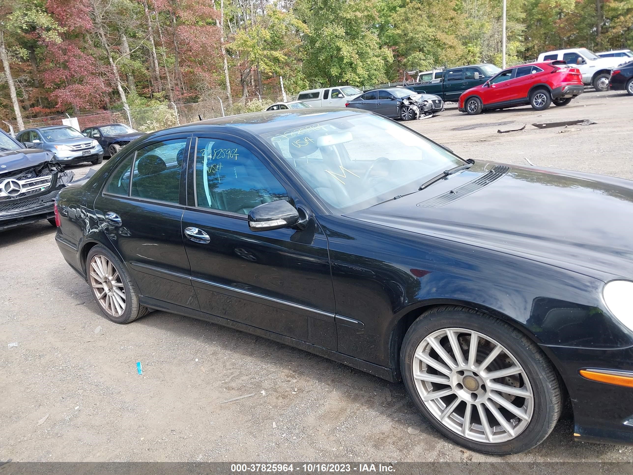 Photo 12 VIN: WDBUF56X59B377795 - MERCEDES-BENZ E-KLASSE 