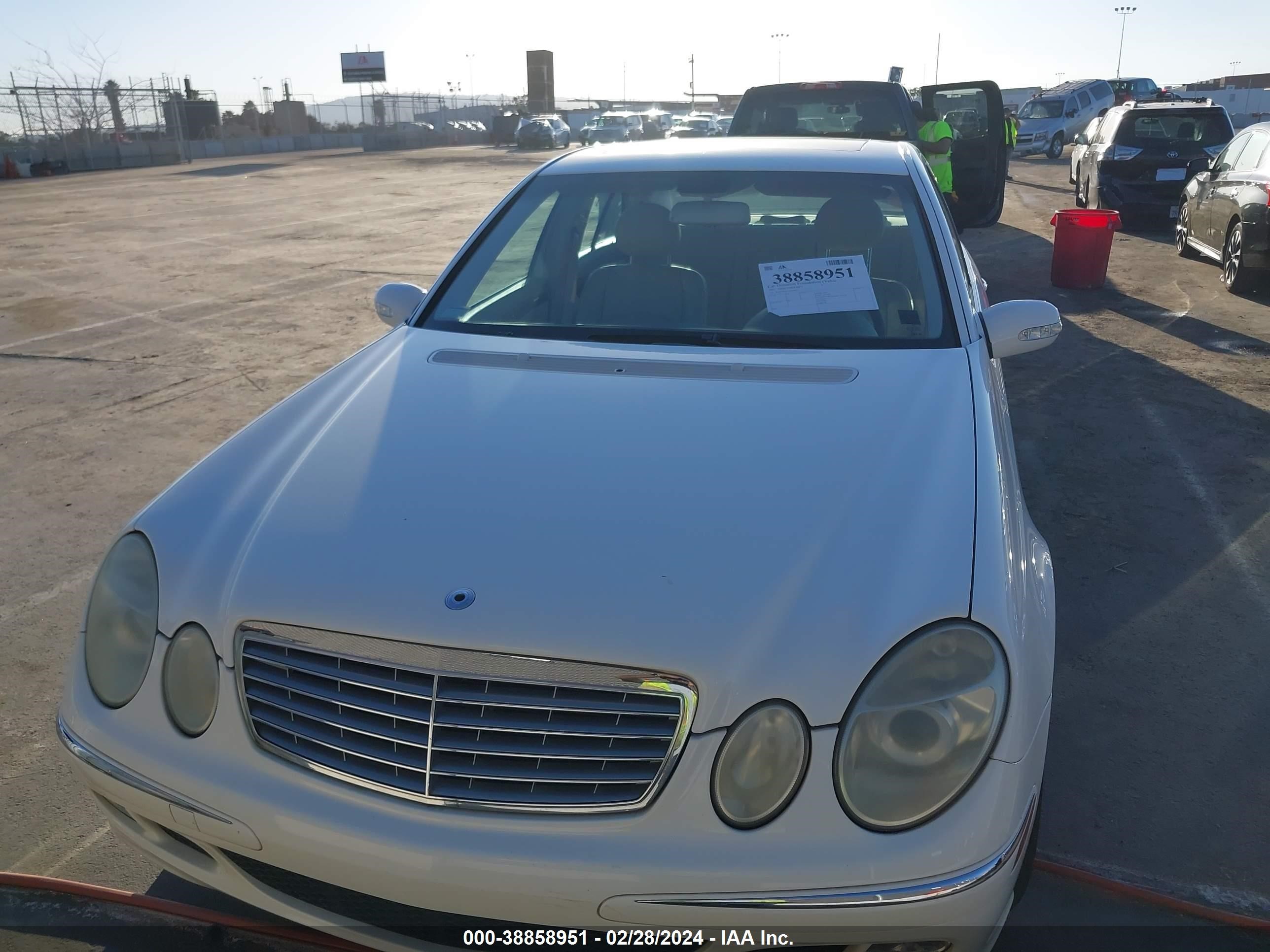 Photo 5 VIN: WDBUF65J13A246833 - MERCEDES-BENZ NULL 