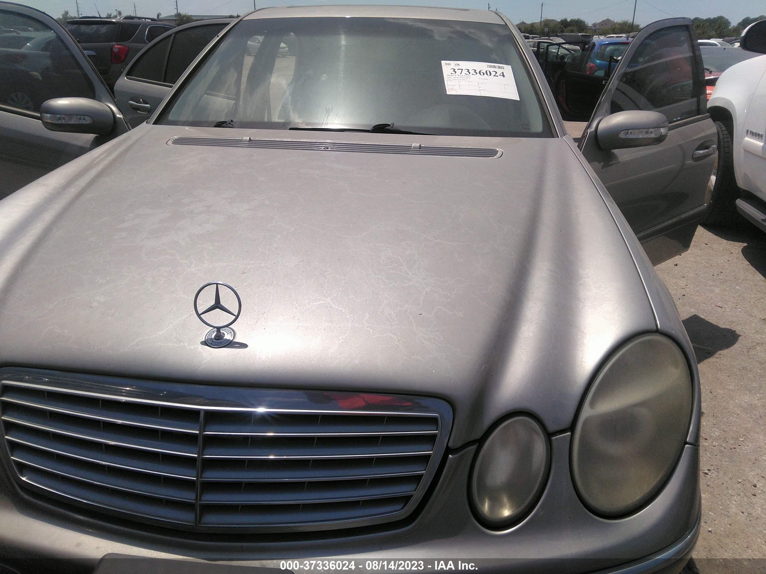 Photo 5 VIN: WDBUF65J34A409130 - MERCEDES-BENZ E-KLASSE 