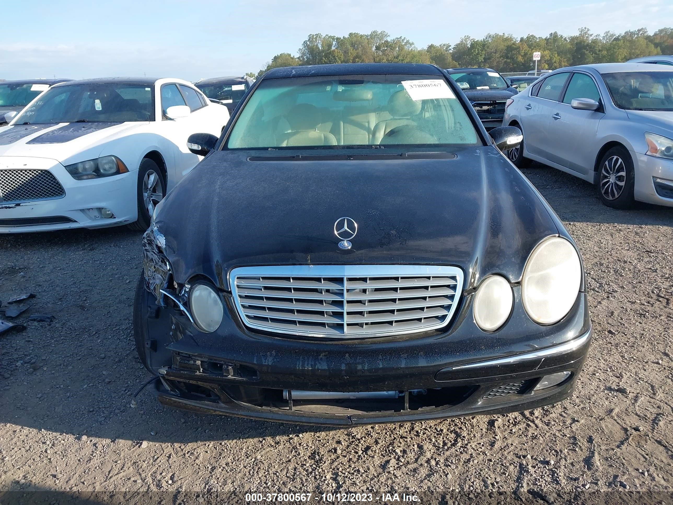 Photo 12 VIN: WDBUF65J53A269256 - MERCEDES-BENZ E-KLASSE 