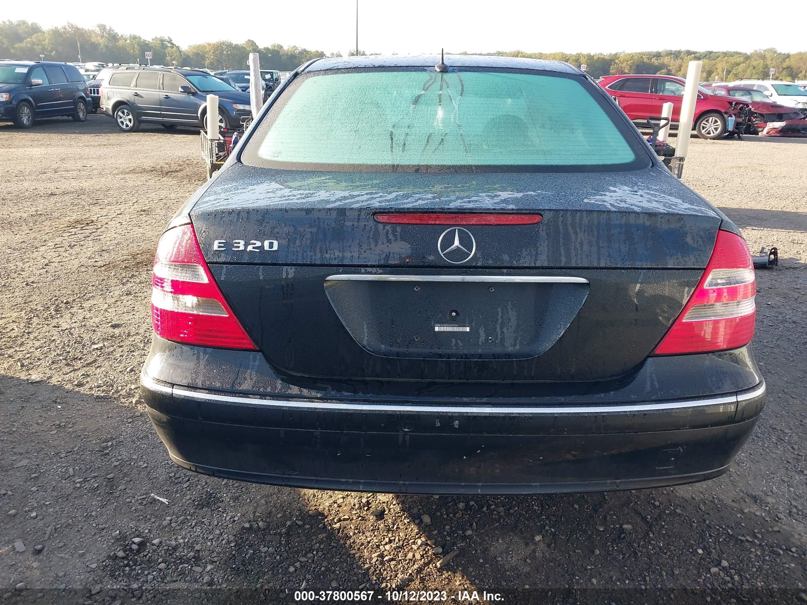 Photo 16 VIN: WDBUF65J53A269256 - MERCEDES-BENZ E-KLASSE 