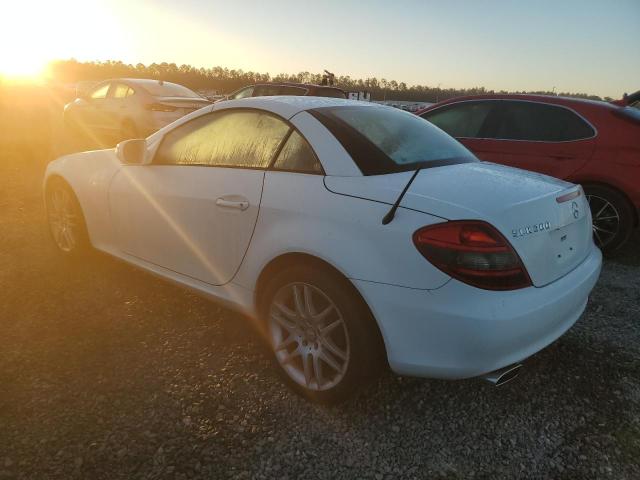 Photo 1 VIN: WDBWK54F29F204033 - MERCEDES-BENZ SLK 300 