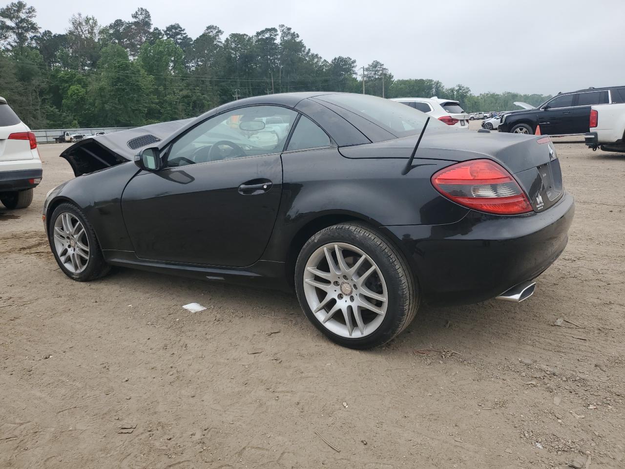 Photo 1 VIN: WDBWK54F89F212279 - MERCEDES-BENZ SLK-KLASSE 