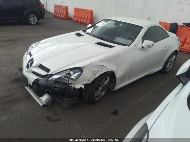 Photo 1 VIN: WDBWK5EA1BF240756 - MERCEDES-BENZ SLK-CLASS 