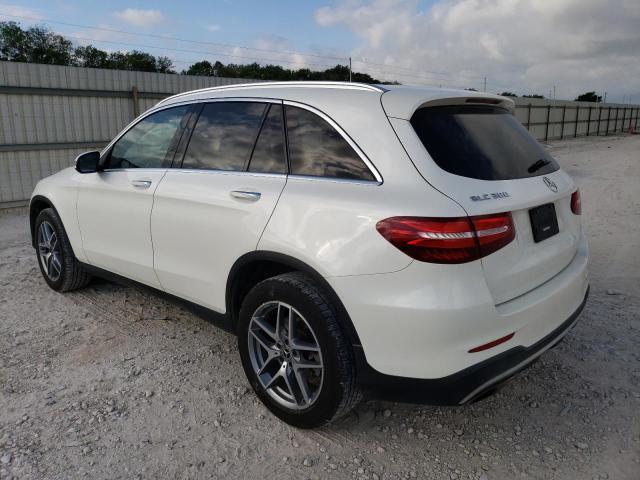 Photo 1 VIN: WDC0G4JB7HF222525 - MERCEDES-BENZ GLC 300 