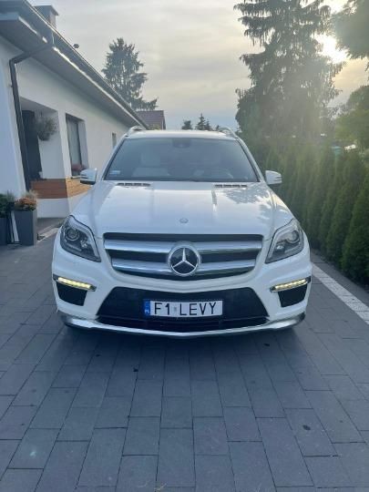 Photo 3 VIN: WDC1668731A124658 - MERCEDES-BENZ GL-CLASS SUV 