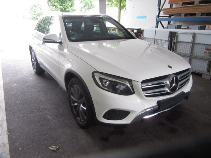 Photo 18 VIN: WDC2539091F283259 - MERCEDES-BENZ GLC -KLASSE (BM 253)(06.2015-&GT) 