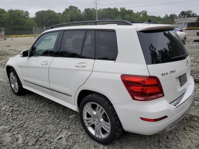 Photo 1 VIN: WDCGG0EB2EG251096 - MERCEDES-BENZ GLK-CLASS 