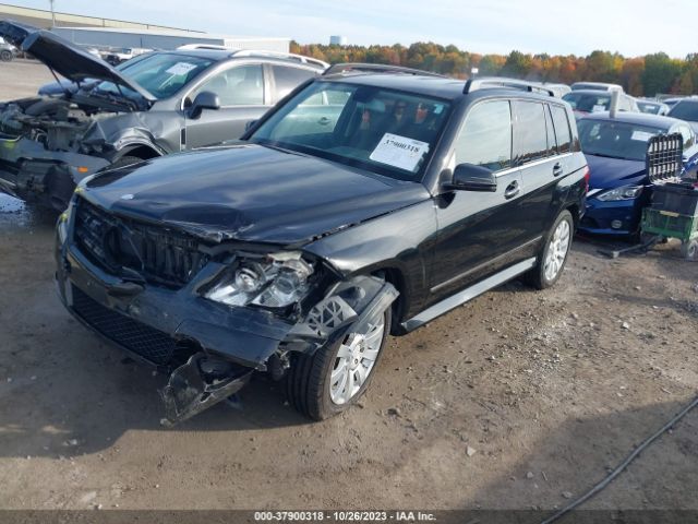 Photo 1 VIN: WDCGG8HB1AF315221 - MERCEDES-BENZ GLK-CLASS 