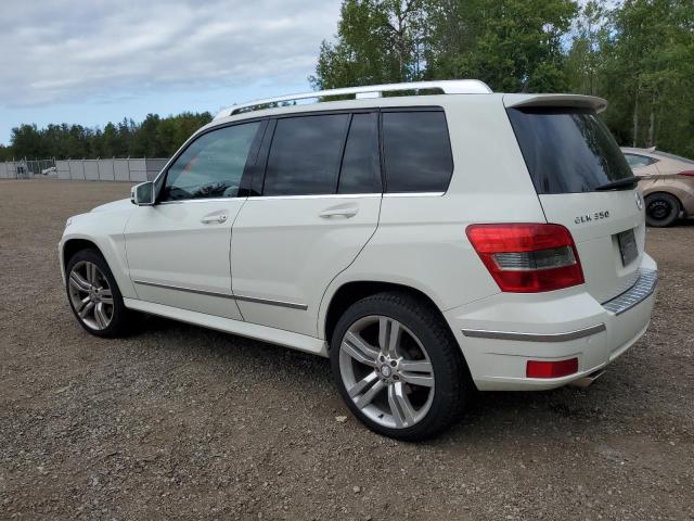 Photo 1 VIN: WDCGG8HB4BF642939 - MERCEDES-BENZ GLK 350 4M 