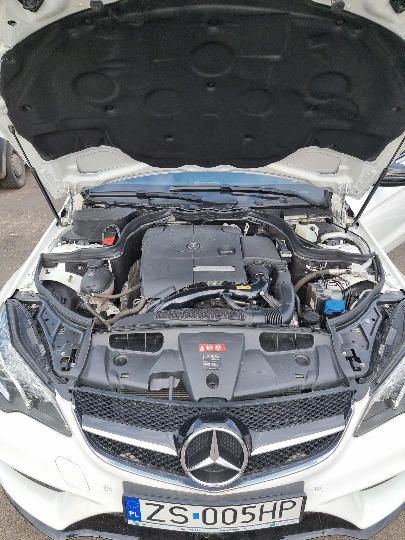 Photo 26 VIN: WDD2073361F349704 - MERCEDES-BENZ E-CLASS COUPE 