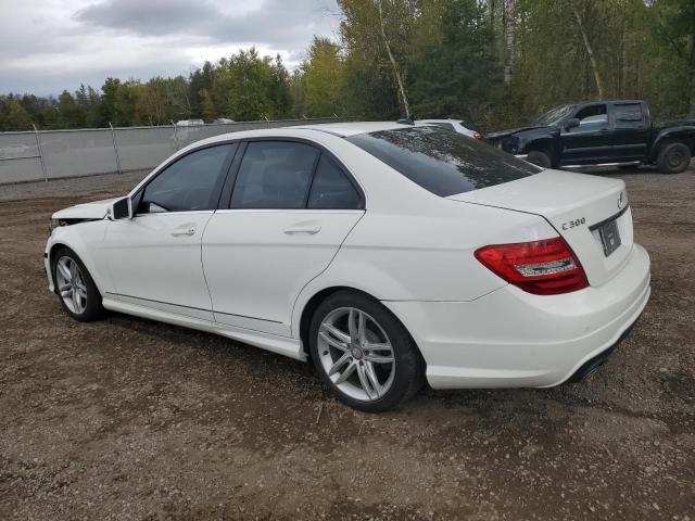 Photo 1 VIN: WDDGF8AB2DA799703 - MERCEDES-BENZ C 300 4MAT 