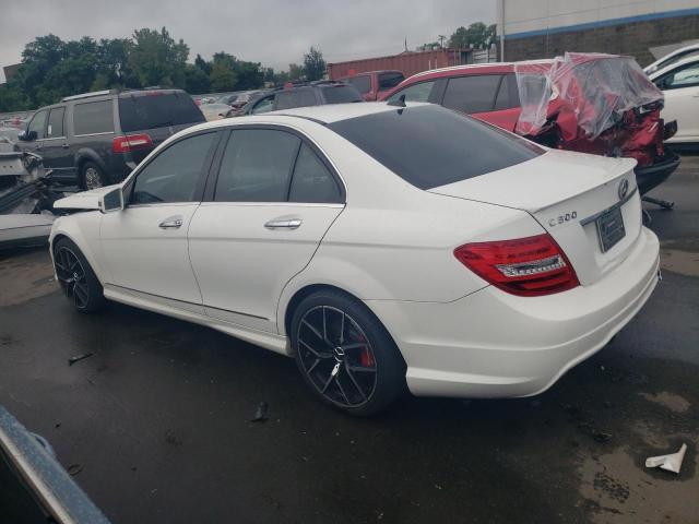 Photo 1 VIN: WDDGF8AB9DR276504 - MERCEDES-BENZ C 300 4MAT 