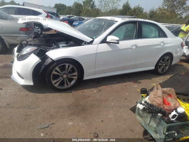 Photo 1 VIN: WDDHF5KBXEA869726 - MERCEDES-BENZ E-CLASS 