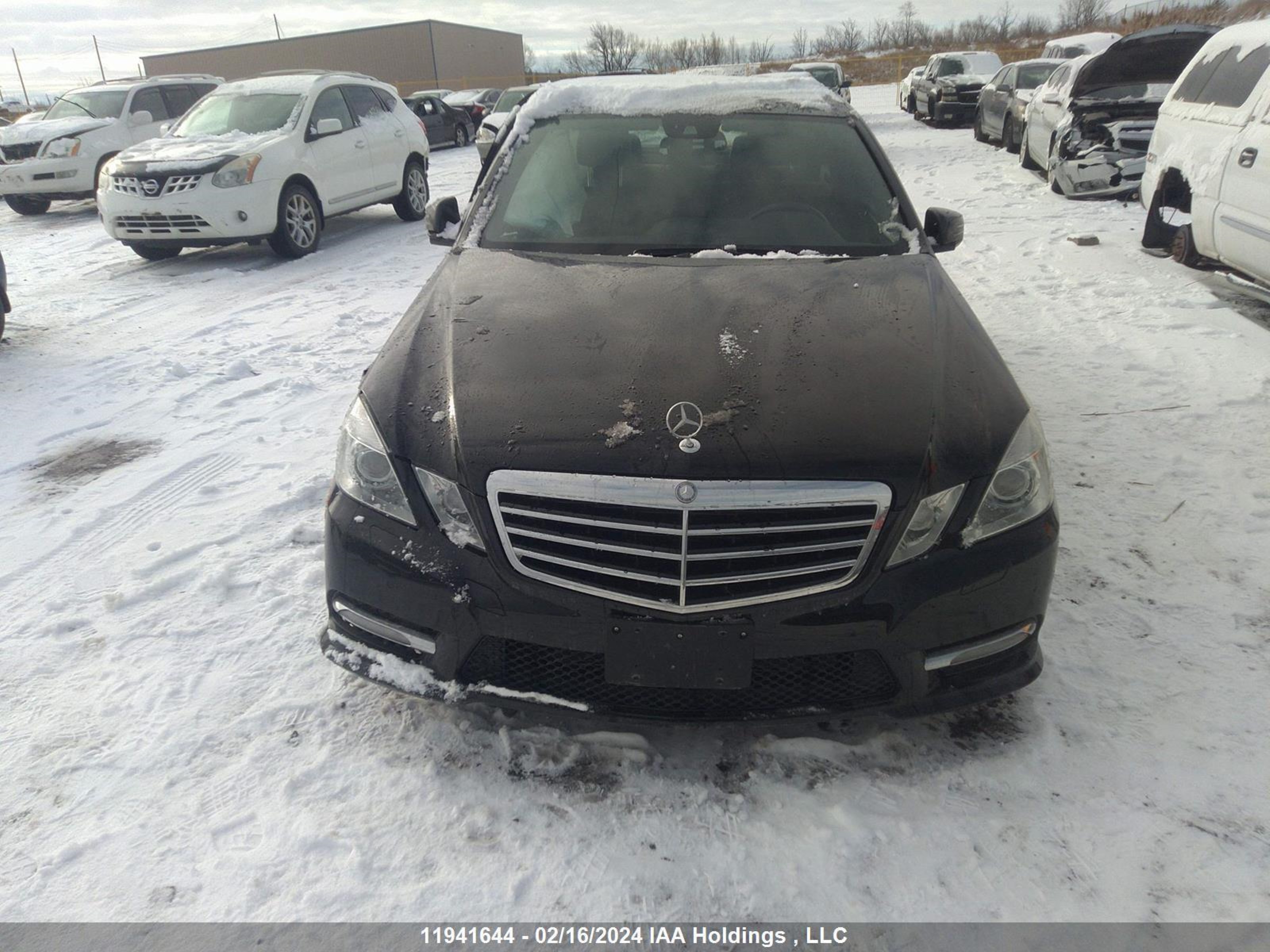 Photo 11 VIN: WDDHF9BB8DA674116 - MERCEDES-BENZ E-KLASSE 