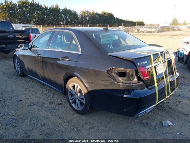 Photo 2 VIN: WDDHF9HBXEA883379 - MERCEDES-BENZ E 250 