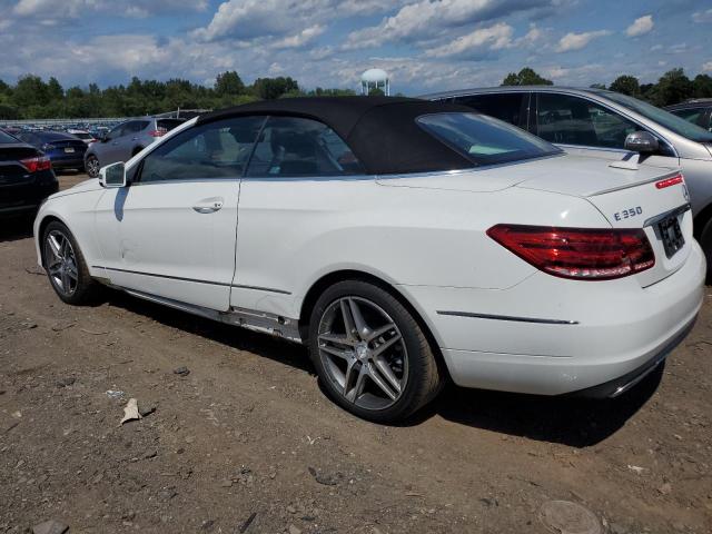 Photo 1 VIN: WDDKK5KFXEF265794 - MERCEDES-BENZ E 350 