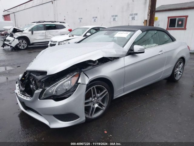 Photo 1 VIN: WDDKK6FF3GF313039 - MERCEDES-BENZ E-CLASS 