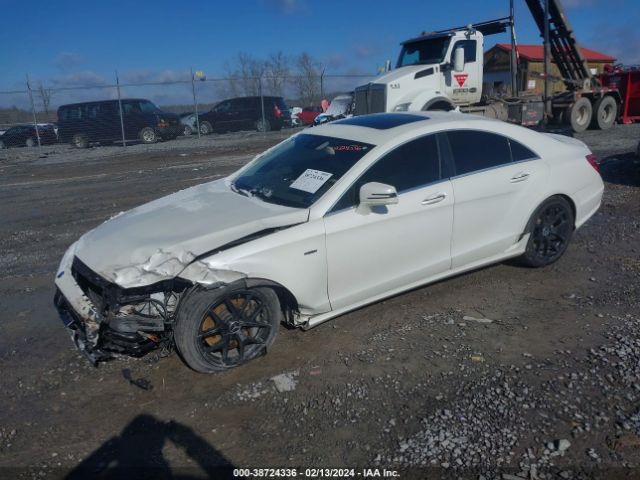 Photo 1 VIN: WDDLJ9BB3DA088402 - MERCEDES-BENZ CLS 550 