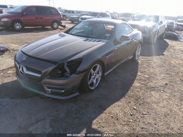 Photo 1 VIN: WDDPK3JA2GF119859 - MERCEDES-BENZ SLK 