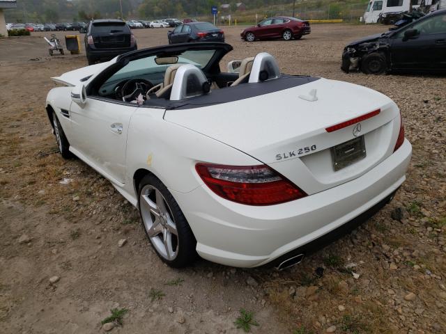 Photo 2 VIN: WDDPK4HA0CF041541 - MERCEDES-BENZ SLK 250 