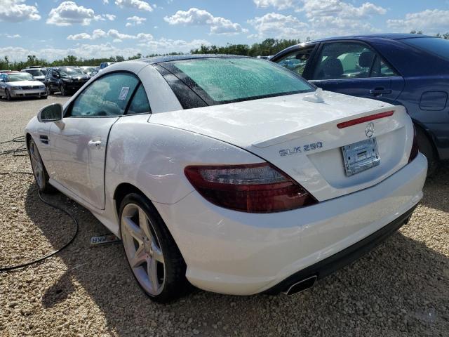 Photo 2 VIN: WDDPK4HA0FF101337 - MERCEDES-BENZ SLK 250 