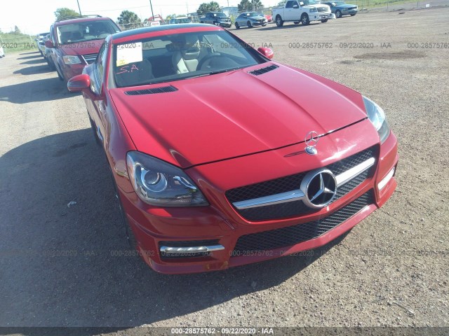 Photo 5 VIN: WDDPK4HA1DF056003 - MERCEDES-BENZ SLK-CLASS 