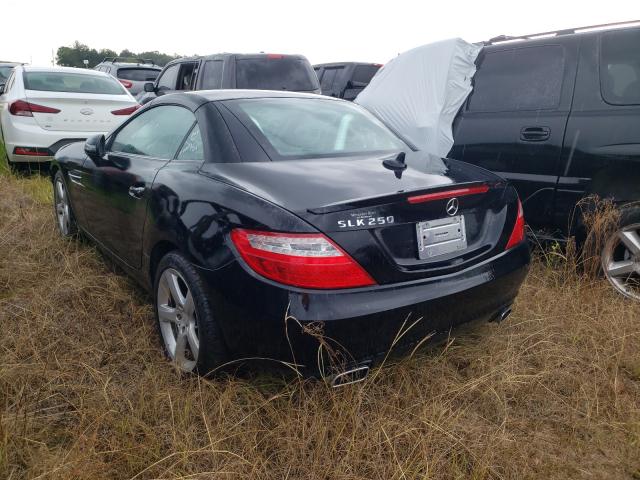 Photo 2 VIN: WDDPK4HA3EF075458 - MERCEDES-BENZ SLK 250 