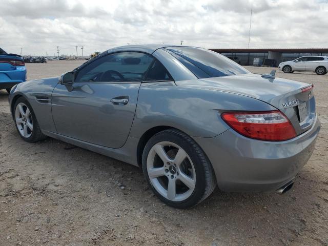 Photo 1 VIN: WDDPK4HA6CF046002 - MERCEDES-BENZ SLK 250 