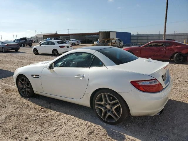 Photo 1 VIN: WDDPK4HA6DF065540 - MERCEDES-BENZ SLK 250 