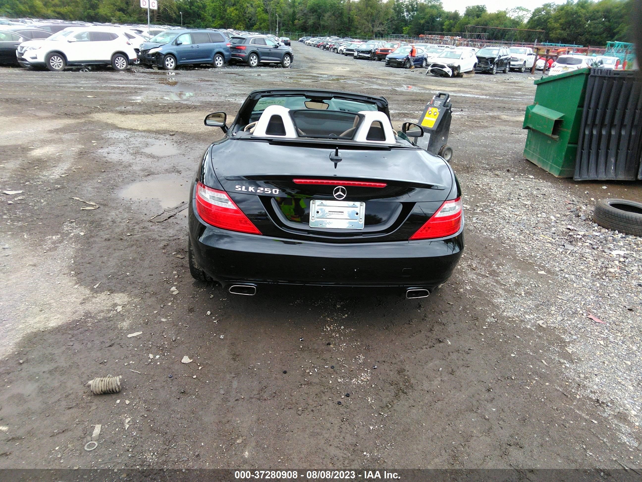 Photo 15 VIN: WDDPK4HA7DF058208 - MERCEDES-BENZ SLK-KLASSE 