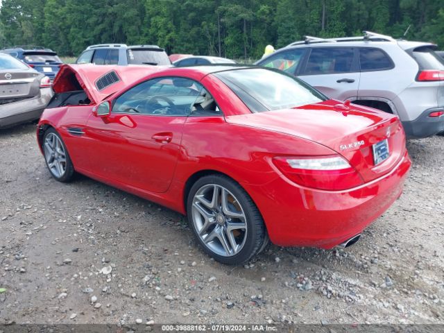 Photo 2 VIN: WDDPK4HA8FF112800 - MERCEDES-BENZ SLK-CLASS 