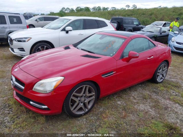 Photo 1 VIN: WDDPK4HA9FF104205 - MERCEDES-BENZ SLK-CLASS 