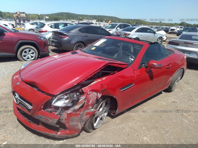 Photo 1 VIN: WDDPK4HAXEF075134 - MERCEDES-BENZ SLK-CLASS 