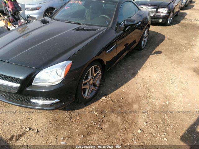 Photo 1 VIN: WDDPK5HA9DF052206 - MERCEDES-BENZ SLK-CLASS 